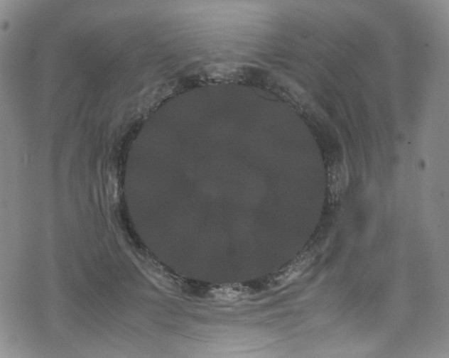 X0000072500703200607141130