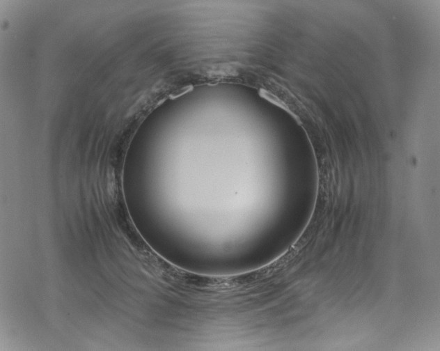 X0000072500704200607141130