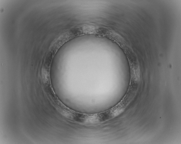 X0000072500705200607141130