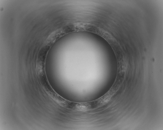 X0000072500706200607141130