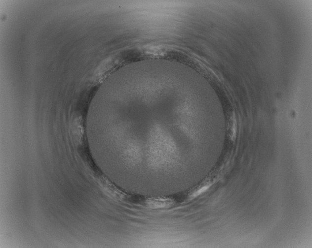 X0000072500707200607141130