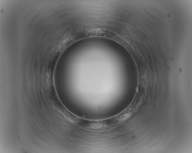 X0000072500708200607141130