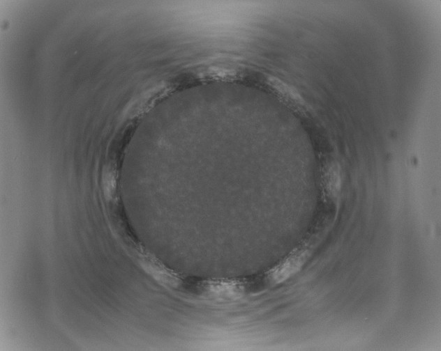 X0000072500709200607141130