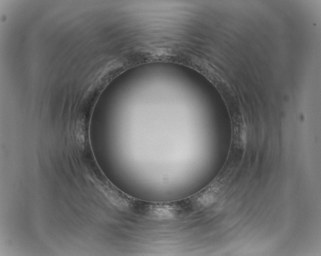 X0000072500710200607141130