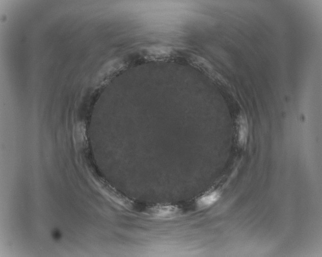 X0000072500711200607141130