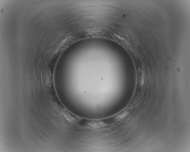 X0000072500712200607141130