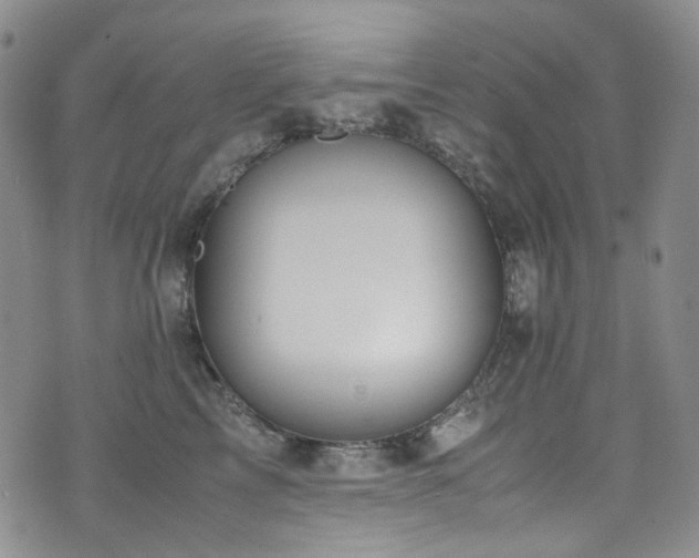 X0000072500713200607141129