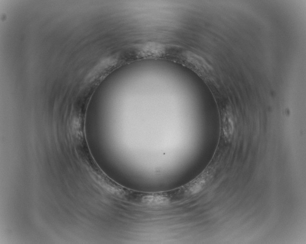 X0000072500714200607141129