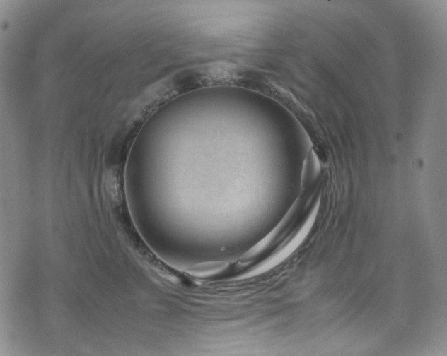 X0000072500715200607141129