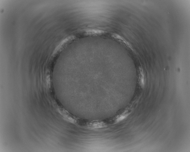 X0000072500716200607141129