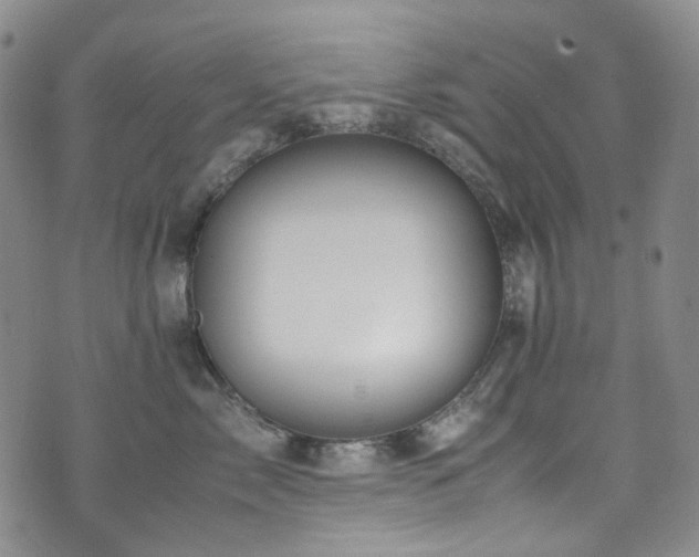 X0000072500717200607141129