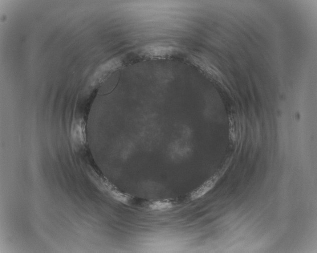 X0000072500718200607141129