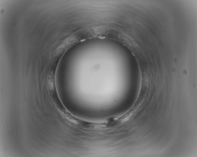 X0000072500719200607141129