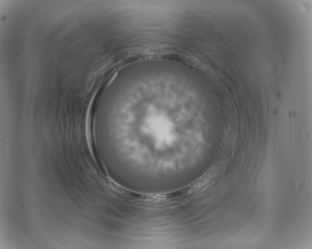 X0000072500720200607141129