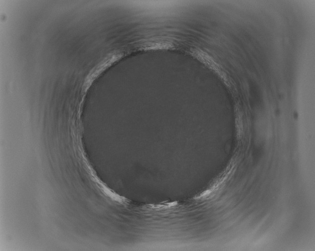 X0000072500721200607141129