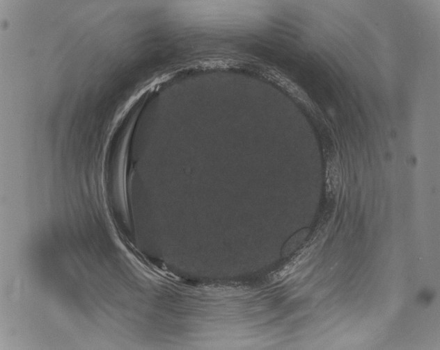 X0000072500722200607141129