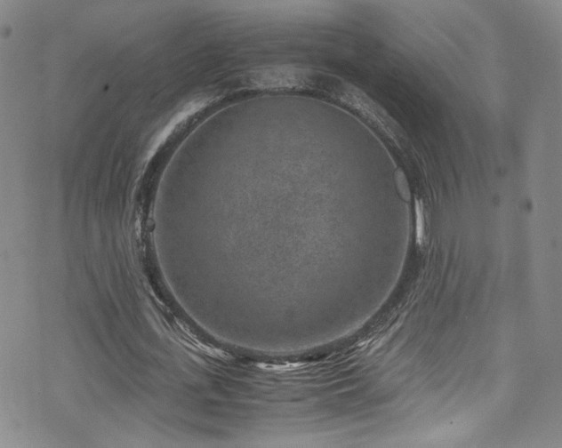 X0000072500723200607141129