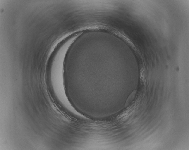 X0000072500724200607141129