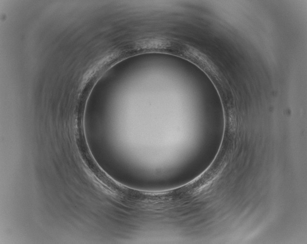 X0000072500725200607141129