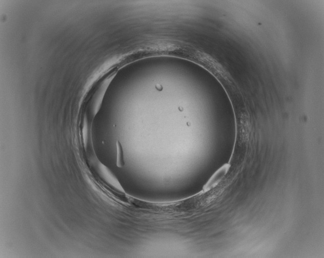 X0000072500726200607141129