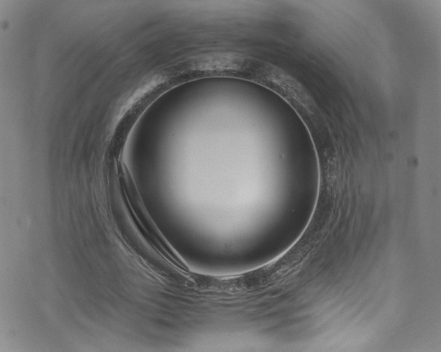 X0000072500727200607141129