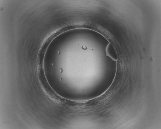 X0000072500728200607141129