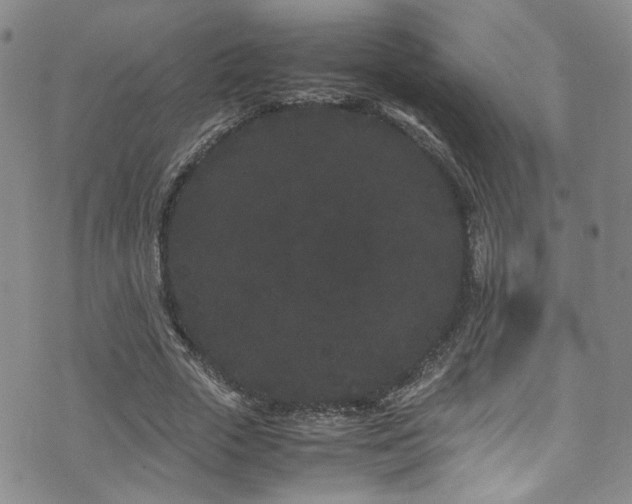 X0000072500729200607141129