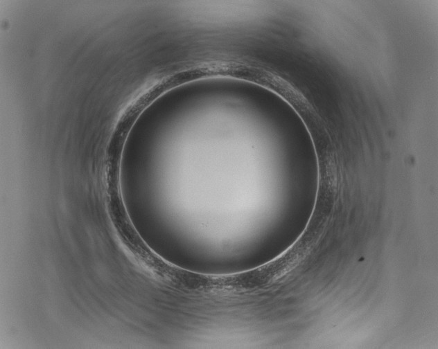 X0000072500730200607141129