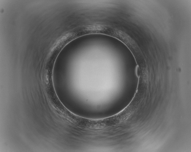 X0000072500731200607141129