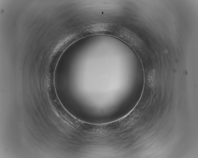 X0000072500732200607141129