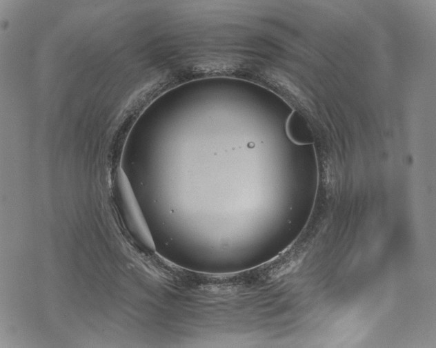 X0000072500733200607141129