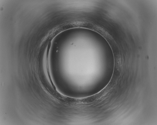 X0000072500734200607141129