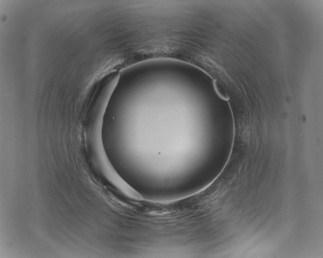 X0000072500735200607141129