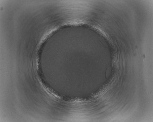 X0000072500736200607141129