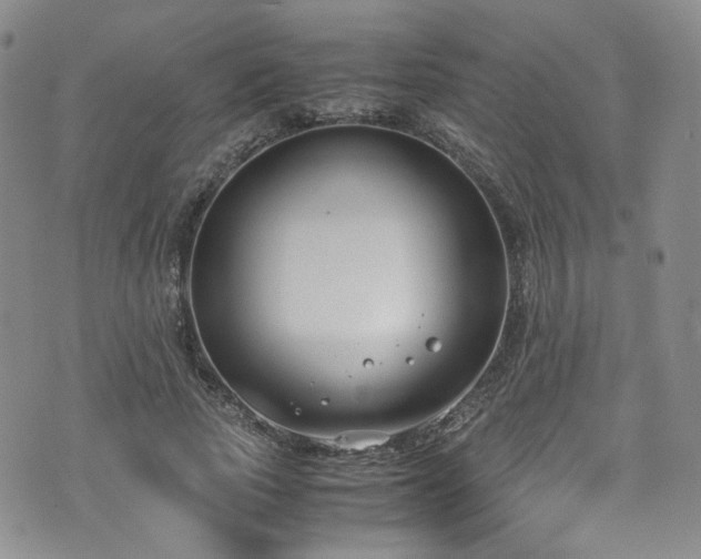 X0000072500737200607141129