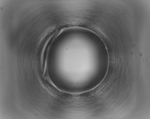 X0000072500738200607141129