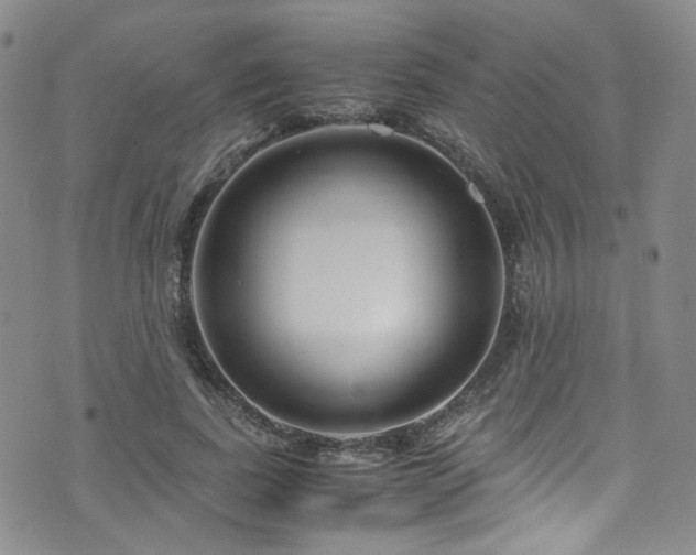 X0000072500739200607141129