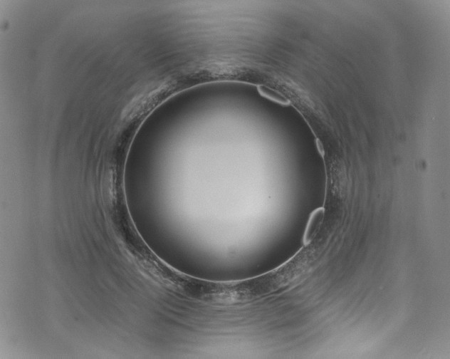 X0000072500740200607141129