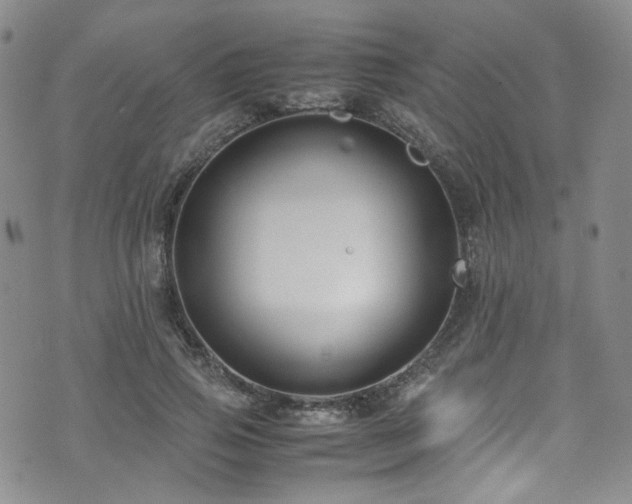 X0000072500741200607141129