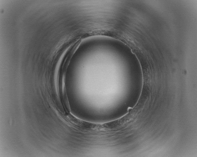 X0000072500742200607141129