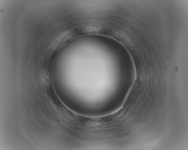 X0000072500743200607141129