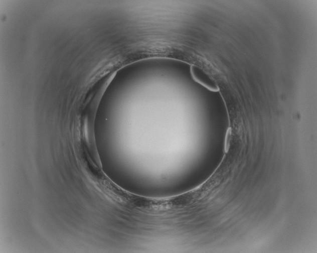 X0000072500744200607141129