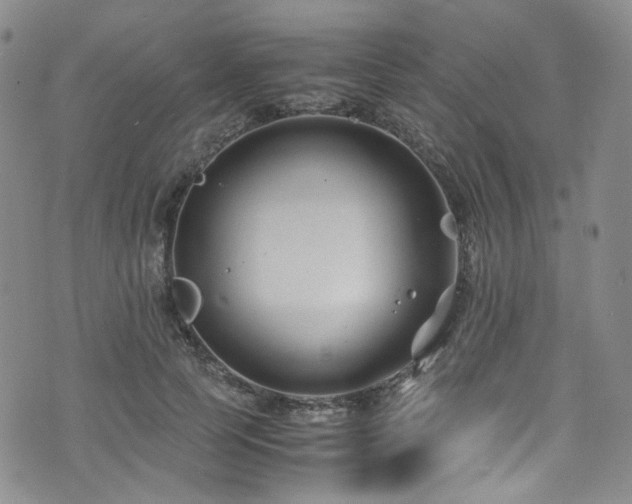 X0000072500745200607141129