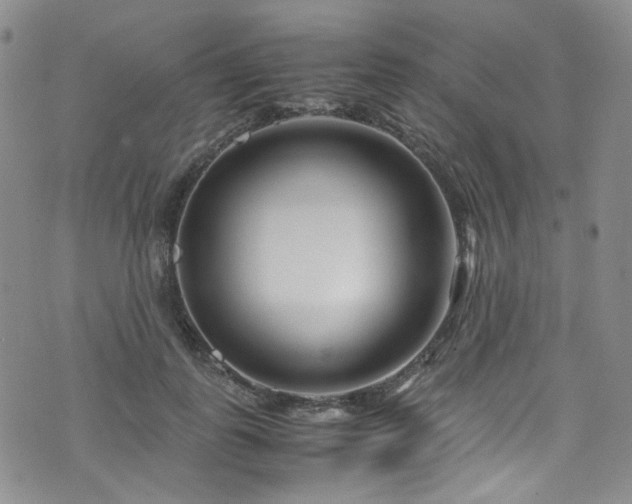 X0000072500747200607141129