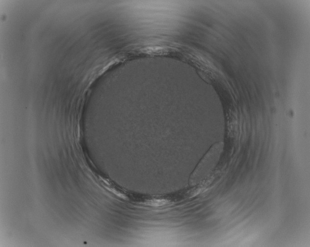 X0000072500748200607141129