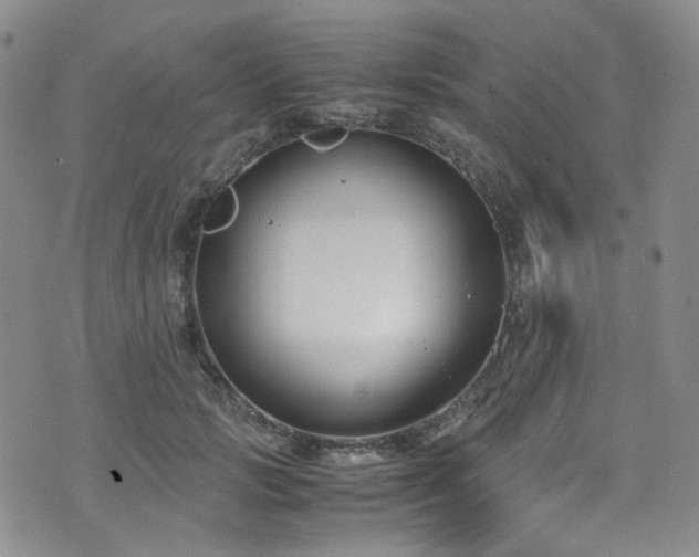 X0000072500749200607141129