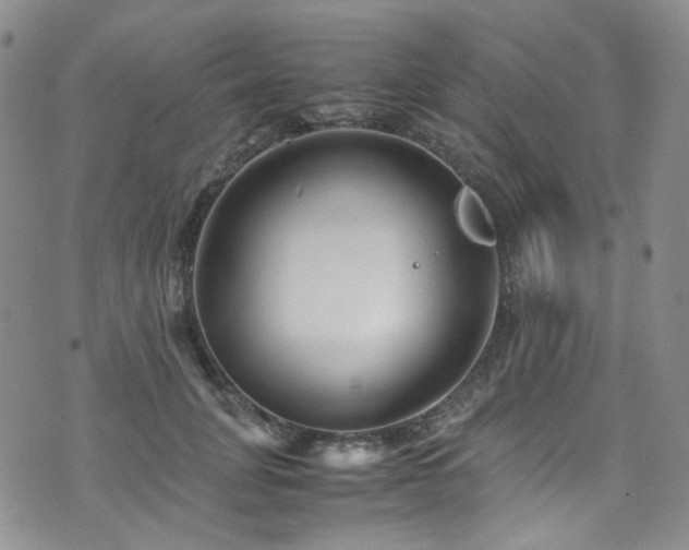 X0000072500751200607141129