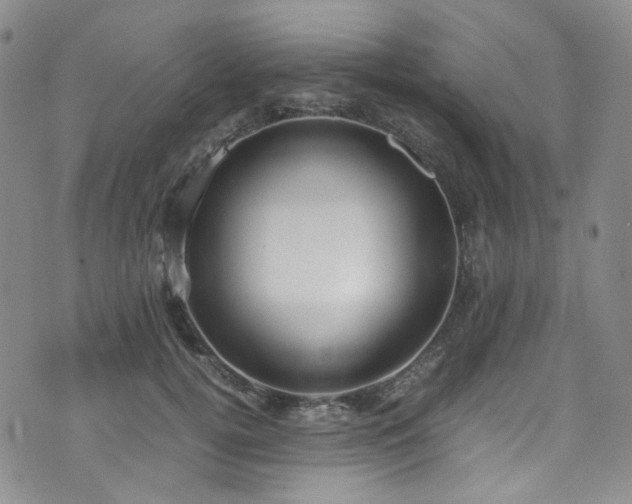 X0000072500752200607141129