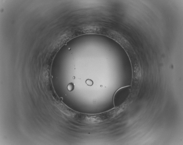 X0000072500753200607141129