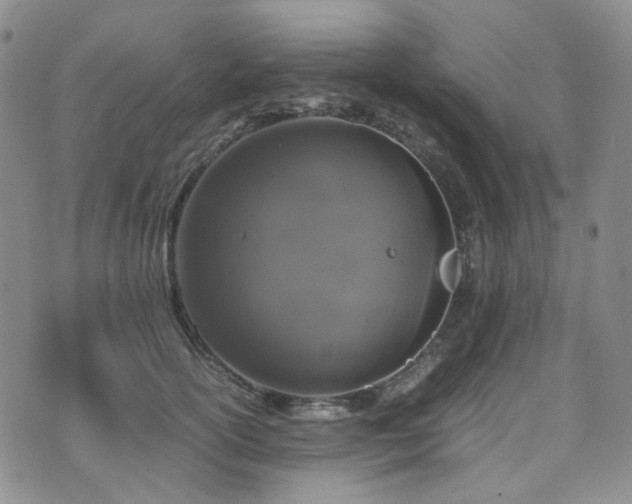 X0000072500754200607141129